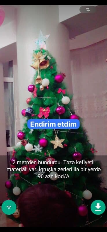 xurma ağacı: Yolkalar şaxda baba sekillerde qiymət məlumat qeyd olunub unvan Gence — 26