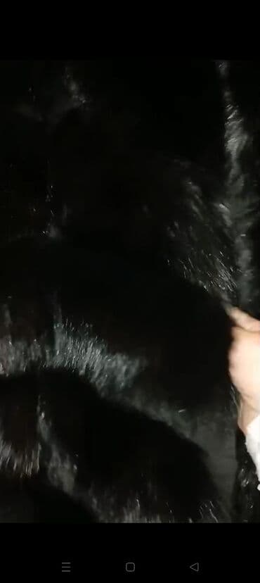 норковая шуба цена бишкек: Biset. satilir. qeti geyilmeyib .cox baha alinib. 200 satilir — 7