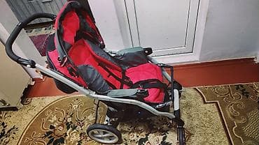 2-i 1-də araba, Chicco