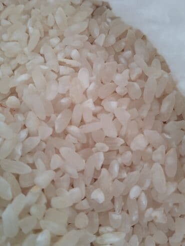 findiq lepesi qiymeti: Yeri yumuru düyü kubresiz qiymeti 1.80 — 1