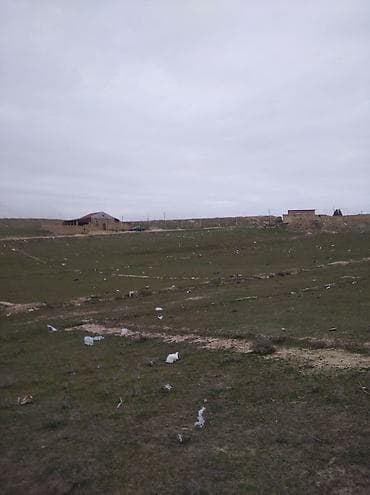 qobu torpag: 8 sot, Tikinti, Mülkiyyətçi, Bələdiyyə — 4