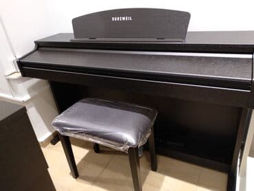 продажа инкубатора: Elektropianino Hörmətli Müştərilər! Musiqi Alətləri Salonu Sizlərə — 1