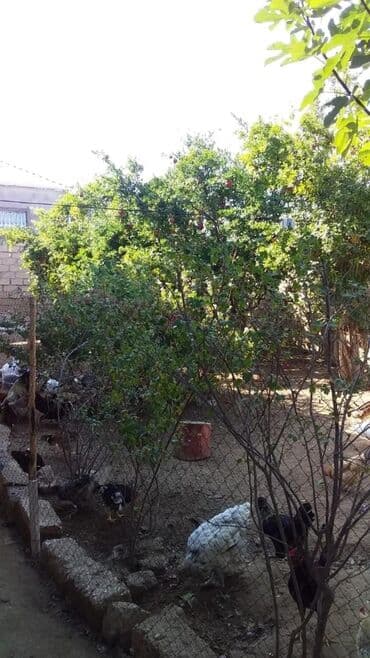 Продажа домов: 3 комнаты, 120 м², Нет кредита, Без ремонта — 4