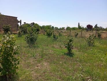 xırdalan kirayə evlər 3 otaqlı: 8 sot, Tikinti, Mülkiyyətçi, Texniki pasport — 9