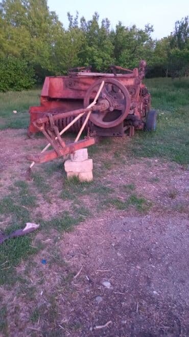 Salam her vaxtiniz xeyir pires bagliyan tecili satilir