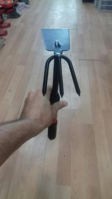 baliq topdan satis: Super keyfiyyet bağ üçün qiymet 6 man çox götürene endirim var — 3