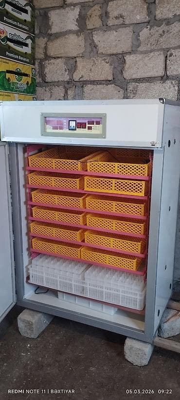 İnkubatorlar: 1100 yumurta, Çin, Tam avtomat — 3