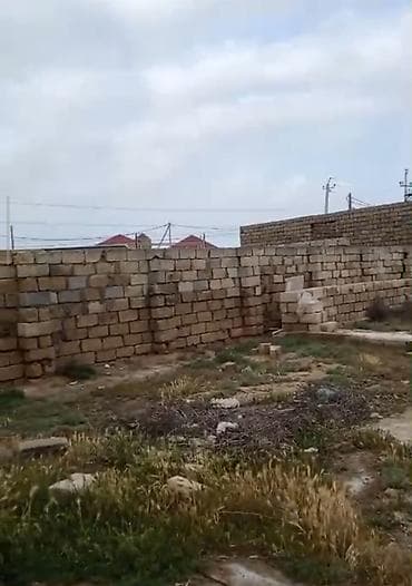 kire ev: 2 sot, Kupça (Çıxarış), Bələdiyyə — 2