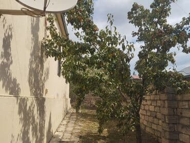 1 otaqlı kirayə: 3 otaqlı, 132 kv. m — 21