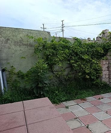 maştagada ev: 2 otaqlı, 60 kv. m, Kredit yoxdur, Yeni təmirli — 2