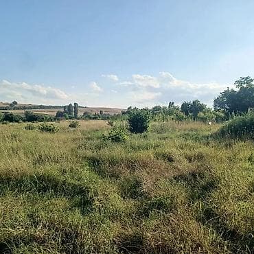 Torpaq: Salam İsmayıllı rayonu da torpaq sahəsi satılır istəyən olsa əlaqə — 5