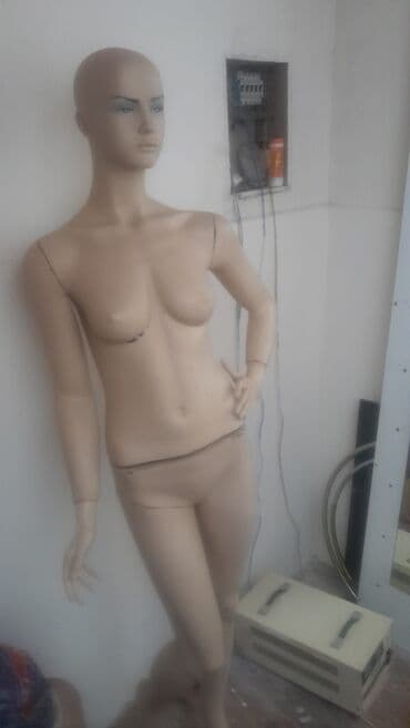 derzi is elanlari 2022: Qadın — 1