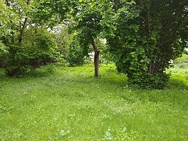 XALXAL kəndində 5.10.15sot istenilen qeder tikinti təyinatli — 2