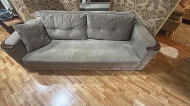 Комнатные растения: Диван, Платная доставка — 3