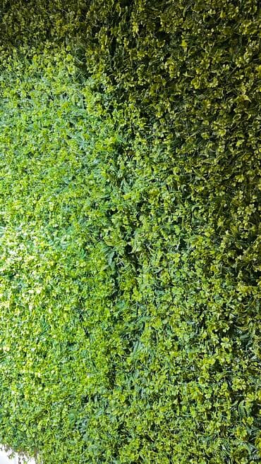 марал гель кыргызстан: 7 man baslayan qiymetler elani diqqetli oxuyun zehmet olmasa ed 7 man — 13