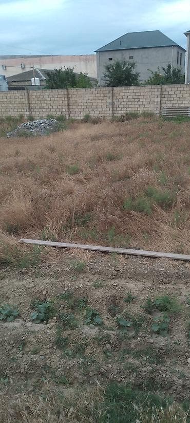 28 may qesebesi ev satilir: Kənd təsərrüfatı — 9