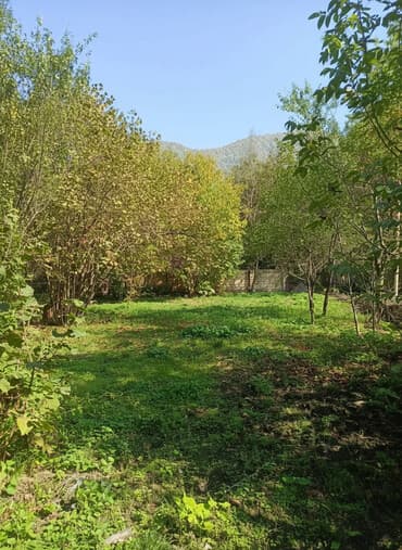 turkanda bağ evi satılır: 10 sot, Biznes üçün, Barter mümkündür, Kupça (Çıxarış) — 1