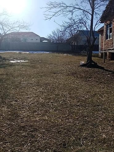 nabran ev kiraye: 20 sot, Tikinti, Barter mümkündür, Kupça (Çıxarış) — 3