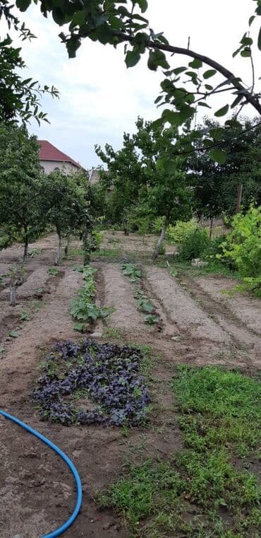 masazir yeni tikili: 6 sot, Tikinti, Makler, Kupça (Çıxarış) — 4