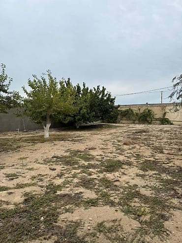 5 sot, Tikinti, Makler, Kupça (Çıxarış) — 3