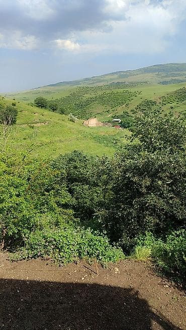 album: Dağ mənzərəli kənd evi və həyət sahəsi - Taxta və daş konstruksiyalı — 4