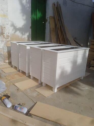 orkide qiyməti: Dibçək və dibçək atlıqlarının sifarişlə hazırlanması Qiymət minimum — 7