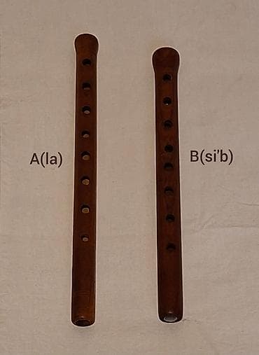 Fleytalar: Balaban gövdələri – 2 müxtəlif tonallıq: - A (La) tonlu balaban - B — 1