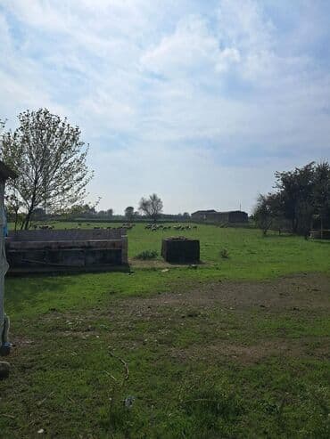 bağ evi satışı: Kənd təsərrüfatı — 12