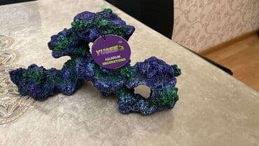 pişik ucun qum qabı: Akuvarium dekoru — 1