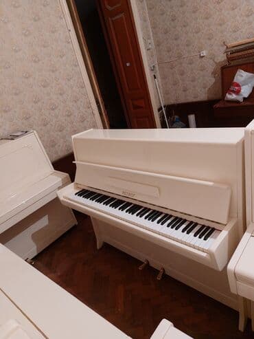 pianinolar: Pianino PETROF Cexiya stehsalı. İdeal vəziyyədə. Cadrılma və köklənmə — 2