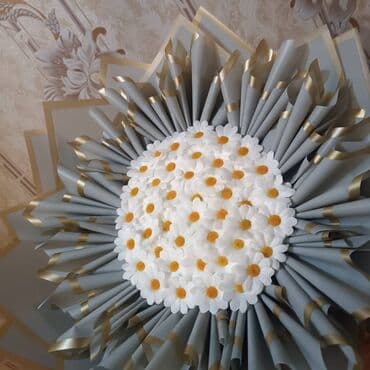 lazer yazı: Əlaqə nöm: +99450 434-04-35 TikTOk: @rael_capevi inst: raelcapevi — 7