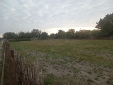 дом в баку: 24 соток, Для строительства, Собственник, Техпаспорт — 4