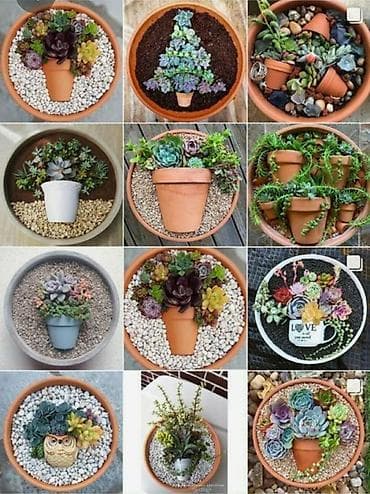 akvaryum baligi: Yumru akvarium, 13 l — 2