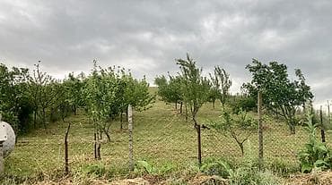 hamarmeşə kəndi: 12 sot, Tikinti, Mülkiyyətçi, Kupça (Çıxarış) — 6