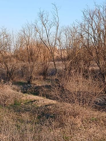 ev satilir type 1: 65 sot, Tikinti, Mülkiyyətçi, Kupça (Çıxarış) — 1