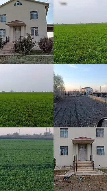 qubada satılan həyət evləri: Kənd təsərrüfatı — 1