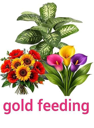 Ev və bağ: Bitki gübrələri – Universal, Flowers Extra, Gold Feeding - Universal — 3