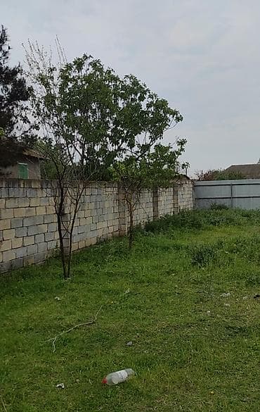 qaraçuxur ev: 10 sot, Tikinti, Mülkiyyətçi, Bələdiyyə — 7