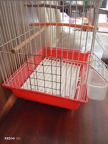 qus iran: Qırmızı-ağ quş qəfəsi - Material: metal barmaqlıqlar, plastik altlıq — 8
