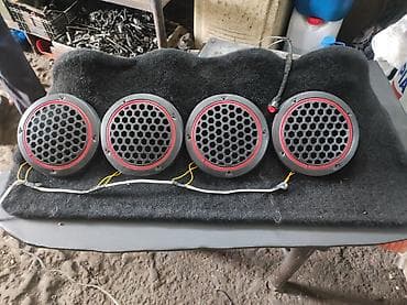 kalonka ses guclendirici: Dinamik qapağı — 2