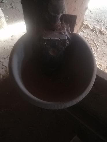 ucuz soyuducularin satisi: Ferma üçün avto-sulamaq qabı (südlük/heyvan su qabı) - Divara/bara — 3