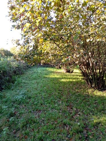 fatmayı torpaq: Kənd təsərrüfatı — 12