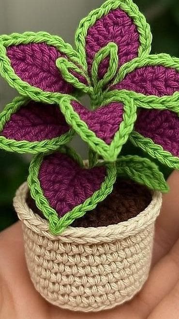 lavanda ördek: Əl işi toxunmuş dekorativ sukulent və güllər – su, günəş və qulluq — 2