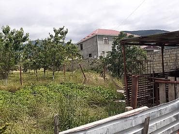 lerikde torpaq satilir: 6 sot, Tikinti, Maklerlər narahat etməsin, Kupça (Çıxarış) — 8