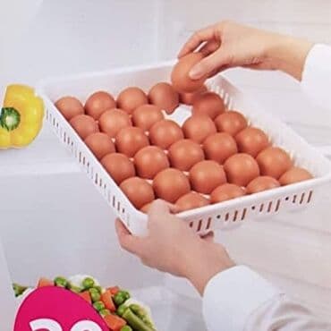 Otaq bitkiləri: Yumurta qabı — 1