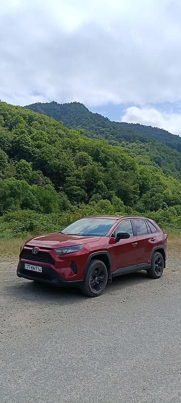 led duman: Toyota RAV4: 2.5 l | 2022 il Krossover — 1