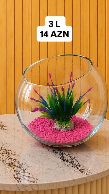 sobo wp 6001: Yumru akvarium, Boş, 3 l, Ünvandan götürmə, Pulsuz çatdırılma, Ödənişli çatdırılma — 3