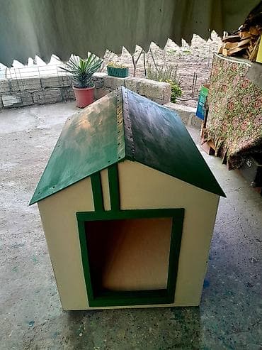 Böyük itlər üçün təmiz taxtadan . Su keçirməyənn Taksiylədə — 4