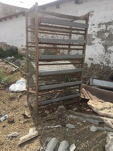 Pişiklər: Bildircin qefesleri var 15ededdir biri 40 awagi yeri olacaq hamisini — 1