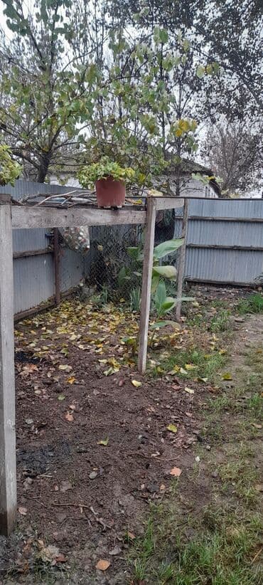 musfiqabad qesebesi kiraye evler: 3 otaqlı, 50 kv. m, Kredit yoxdur, Orta təmir — 5